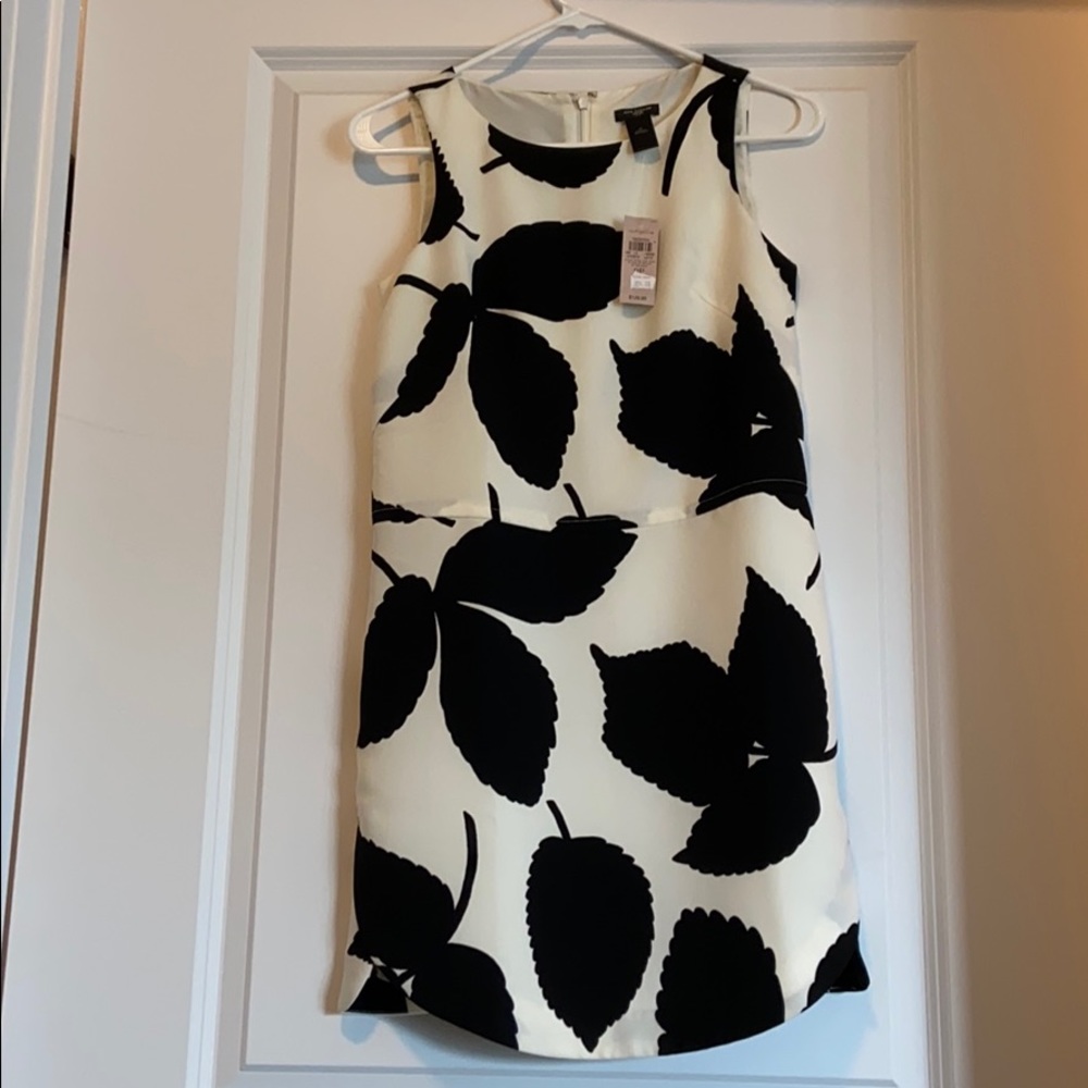 Ann Taylor Shift Dress